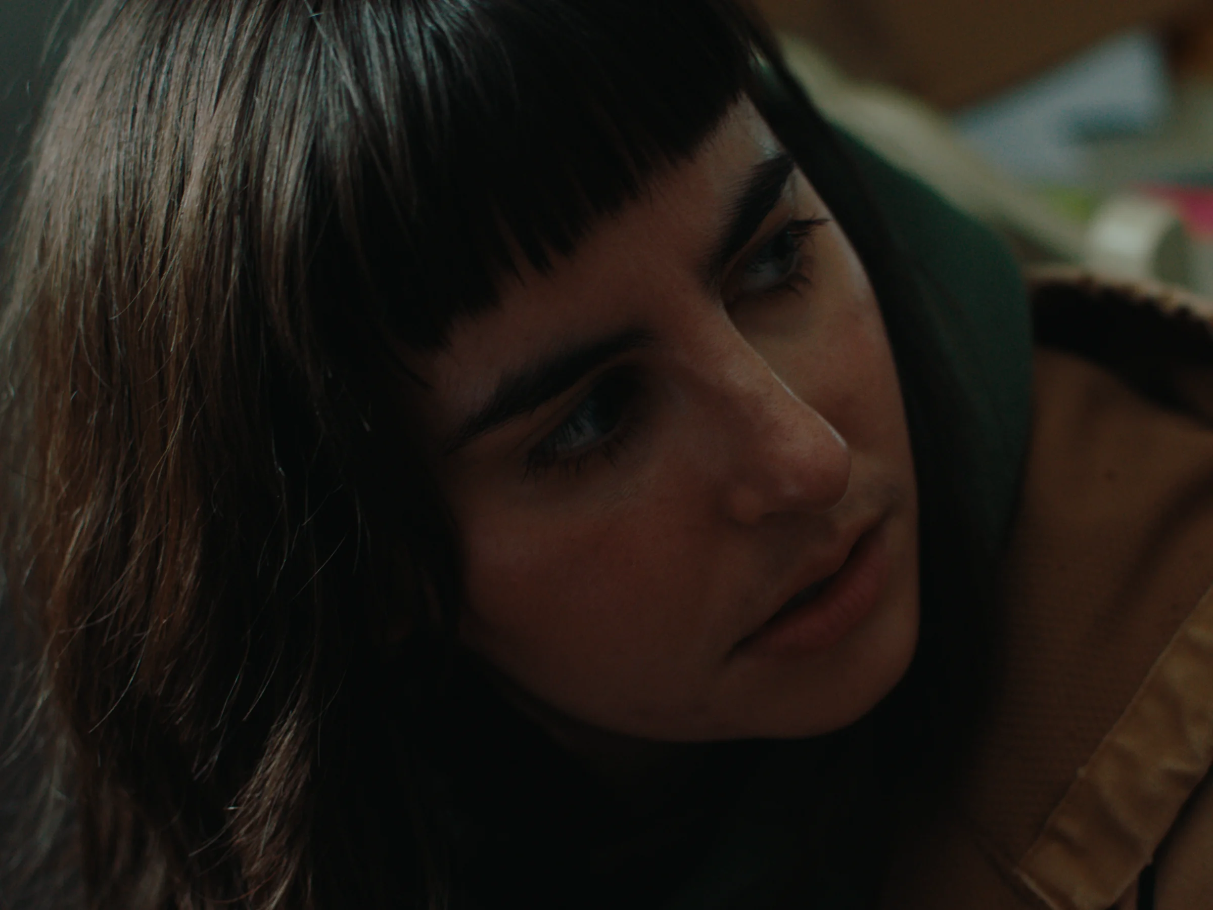 Ponderosa still 3