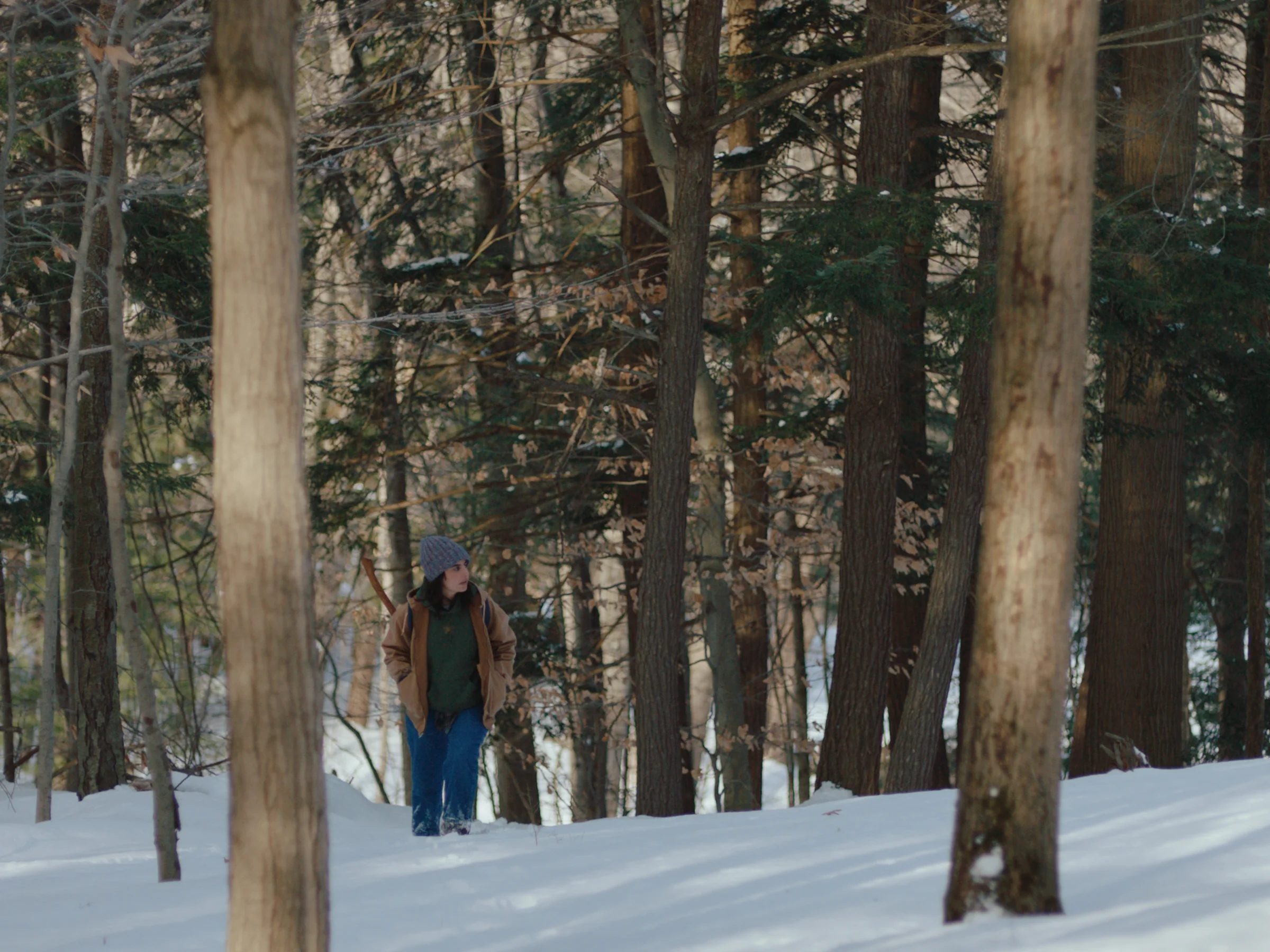 Ponderosa still 5