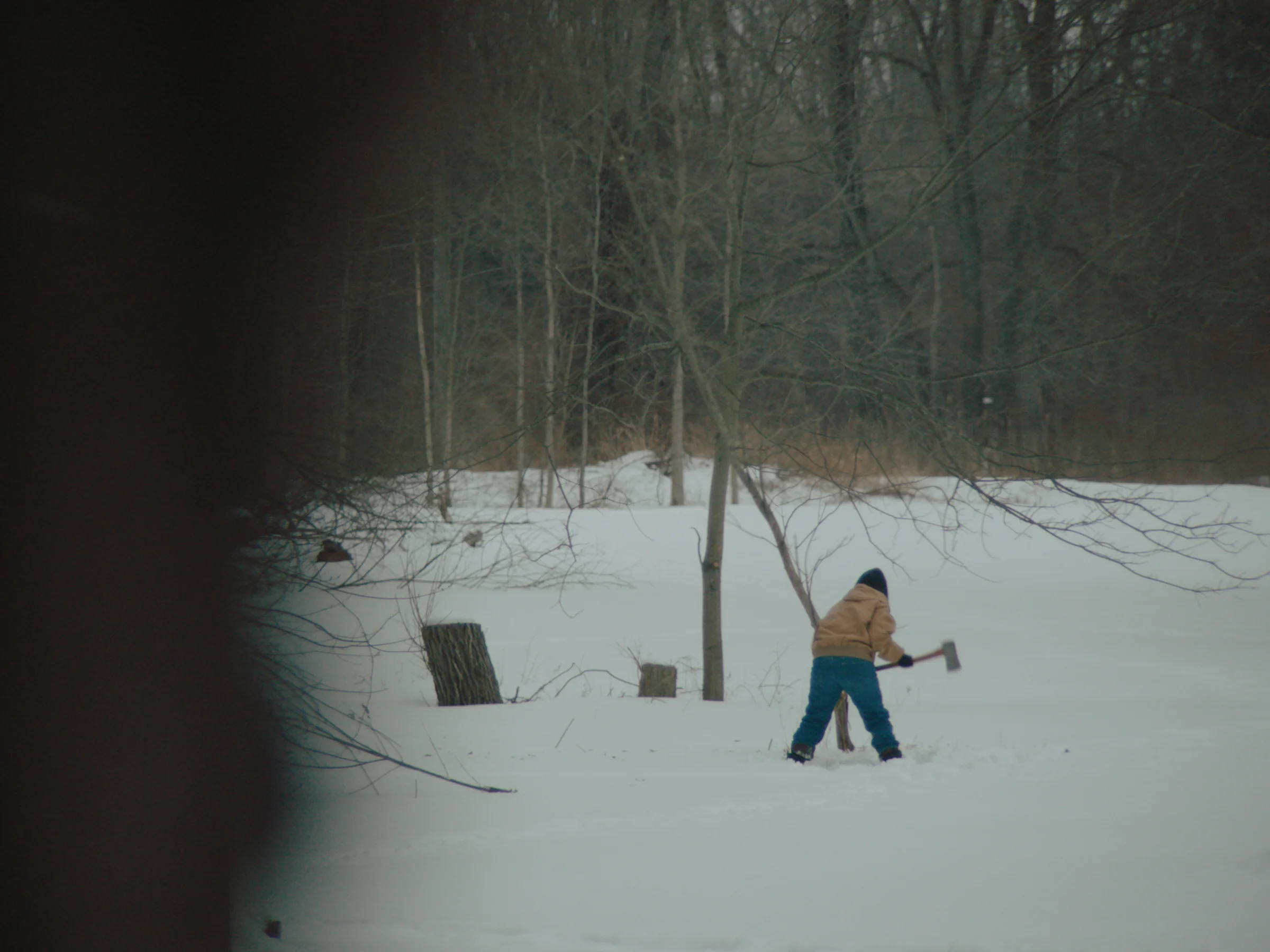 Ponderosa still 18